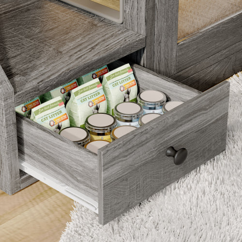 Abnorc Litter Box Enclosure w/ Light