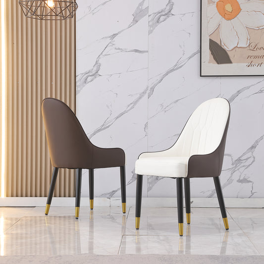 Zignic Leather Dining Chairs (2)